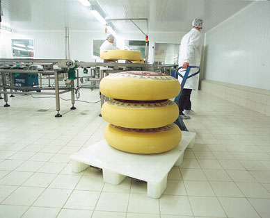 HACCP PALLETs FDA BRC HYGIENIC